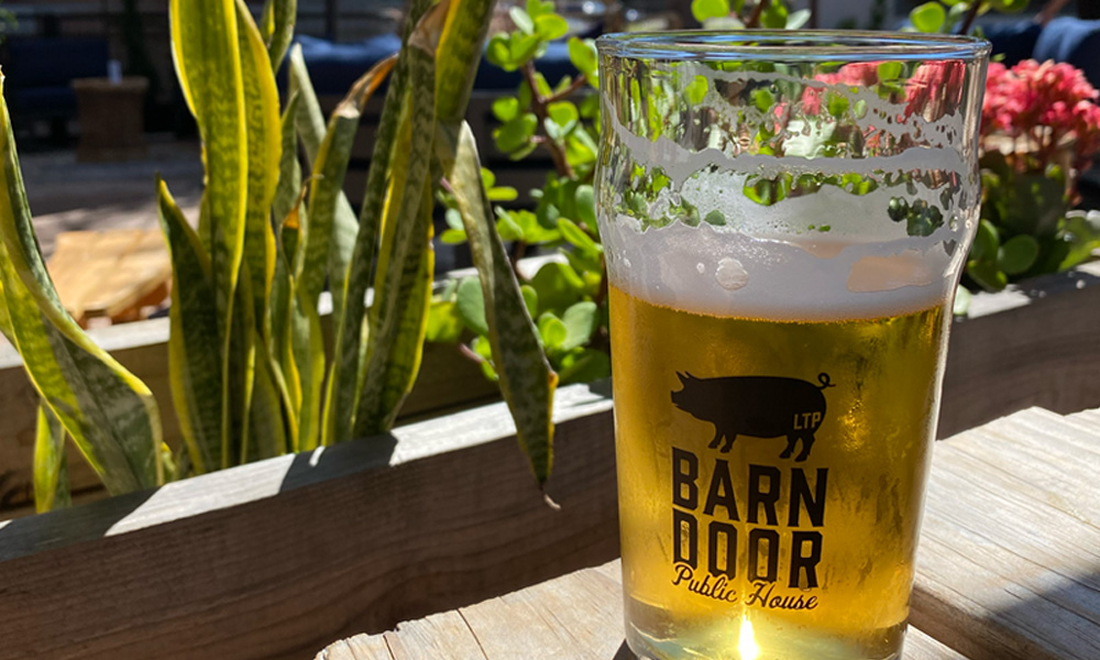 Barn Door Public beer glass